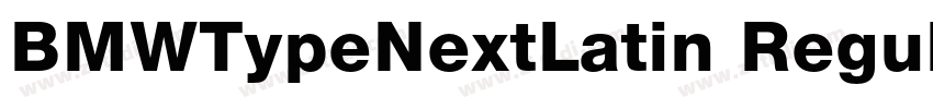 BMWTypeNextLatin Regular字体转换